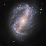 المجرة الحلزونية القضيبية NGC 6217