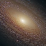 نظرة مقربة على المجرة الحلزونية NGC2841