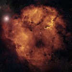 وحوش IC 1396