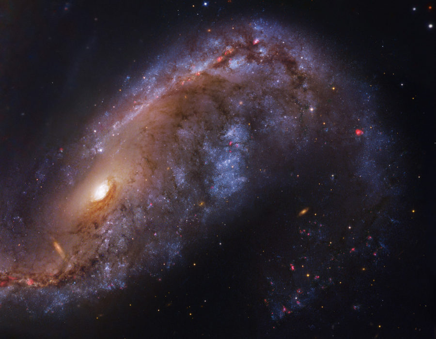 مجرة NGC 2442 ضمن كوكبة السمكة الطائرة